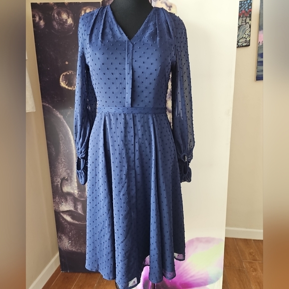 Gal Meets Glam Retro Andrea A-Line V Neck Sheer Balloon Sleeves Swiss Dot Dress - Picture 2 of 14